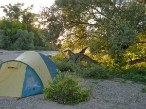 Camping auf der Sandbank am Allier