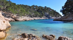 Die Calanque de Port Pin bei Cassis