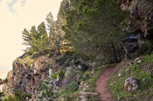 Traumhafte Wanderung vom Mirdador del Santo nach Alojera auf Gomera