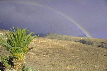 Arguajoda