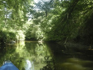 Ein wenig erinnert die Durchfahrt an einen Urwald.