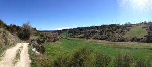 Pilgerweg vor Aumont-Aubrac